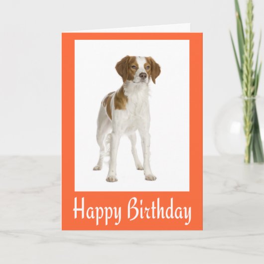 Happy Birthday Brittany Spaniel Puppy Dog Card Karte (Vorderseite)