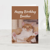Happy Birthday Brother Celebrate Funny Cat Karte (Vorderseite)