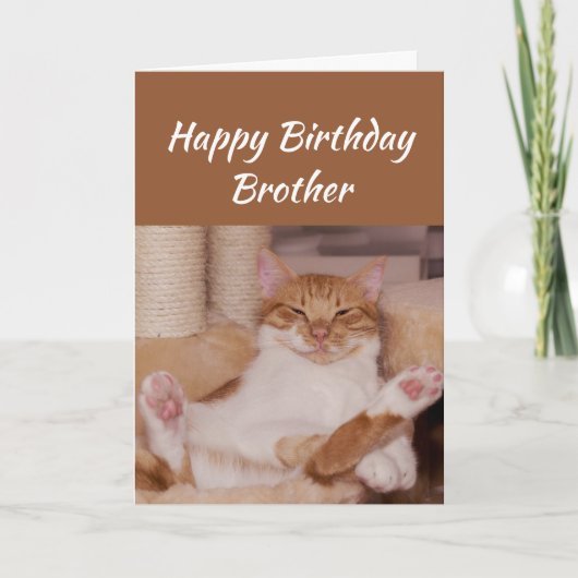 Happy Birthday Brother Celebrate Funny Cat Karte (Vorderseite)
