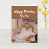 Happy Birthday Brother Celebrate Funny Cat Karte (Gelbe Blume)