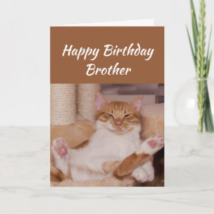 Happy Birthday Brother Celebrate Funny Cat Karte