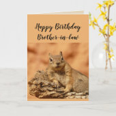 Happy Birthday Brother-in-law Funny Squirrel Spaß Karte (Gelbe Blume)