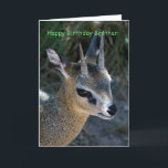 Happy Birthday Brother Karte<br><div class="desc">Glücklicher Geburtstagsbruder, geliebt, gekümmert</div>