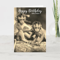 Happy Birthday Brother Niedlichen Affen Geburtstag