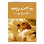 Happy Birthday Brother Real Age Spaß Fun Dog (Vorne)