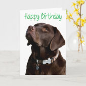 Happy Birthday Brown Labrador Retriever Puppy Card Karte (Gelbe Blume)