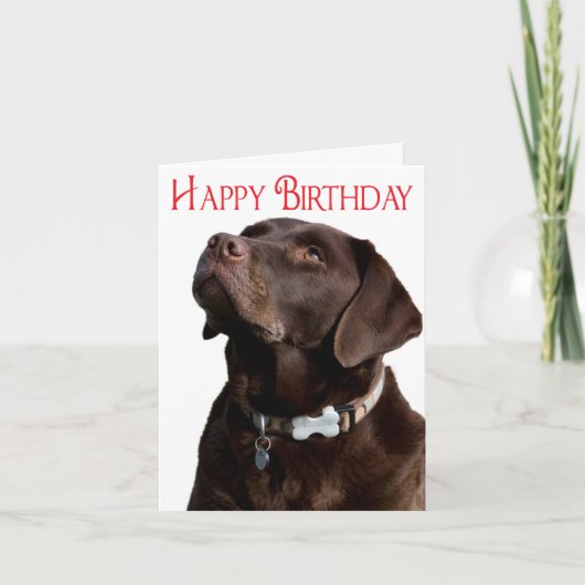 Happy Birthday Brown Labrador Retriever Puppy Card Karte (Vorderseite)