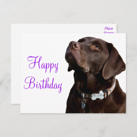 Happy Birthday Brown Labrador Retriever Puppy Dog Postkarte (Vorne/Hinten)