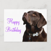 Happy Birthday Brown Labrador Retriever Puppy Dog Postkarte (Vorderseite)