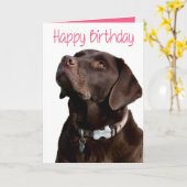Happy Birthday Brown Labrador Retriever Puppy Pink Karte (Gelbe Blume)