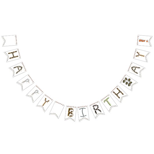 Happy Birthday Bug Themed Banner (Alle)