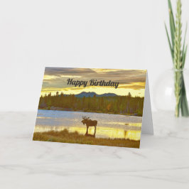 Happy Birthday, Bull Moose, Sprague Lake, Colorado Karte