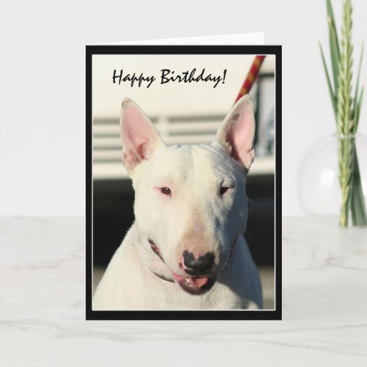 Happy Birthday Bull Terrier greeting card Karte (Vorderseite)