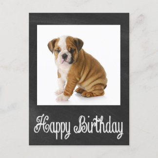 Happy Birthday Bulldog Puppy Chalkboard Postkarte