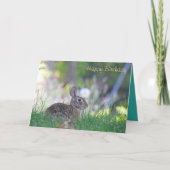 Happy Birthday Bunny Karte (Vorderseite)