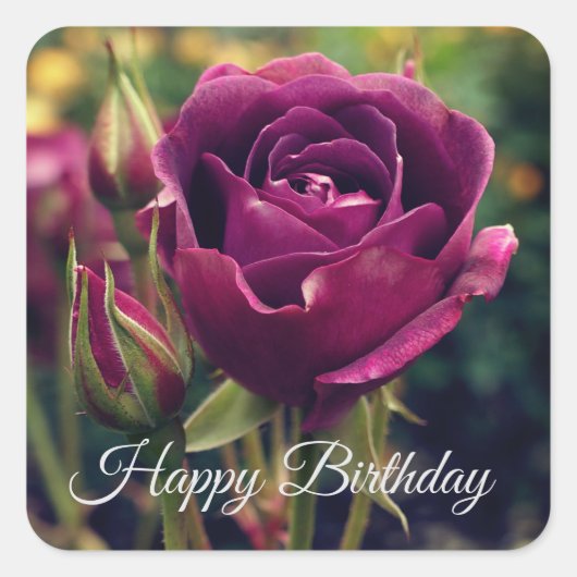 Happy Birthday Burgundy Iceberg Rose #1 Stickers (Vorderseite)