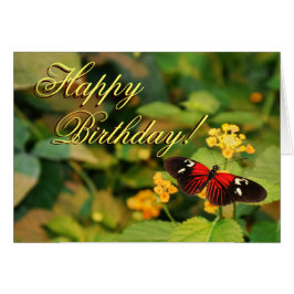 Happy Birthday Butterfly Card