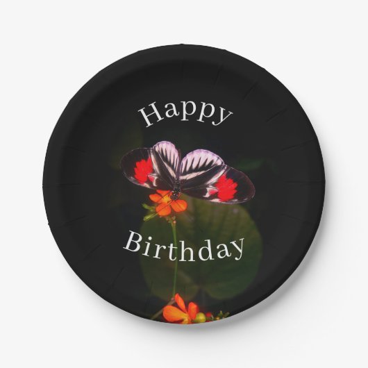 Happy Birthday Butterfly Pappteller (Vorderseite)