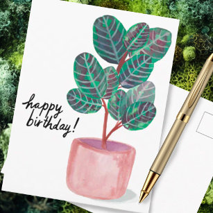 Happy Birthday Calathea Gebet Pflanze Wasserfarbe Postkarte