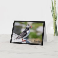 Happy Birthday Card Atlantic Puffin