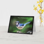 Happy Birthday Card Blue Jay Karte (Gelbe Blume)