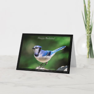 Happy Birthday Card Blue Jay Karte