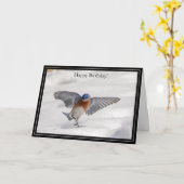 Happy Birthday Card Eastern Bluebird Karte (Gelbe Blume)