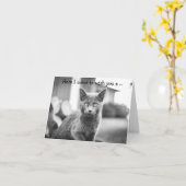 Happy Birthday Card: Gray Cat Karte (Gelbe Blume)