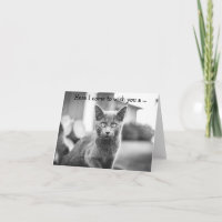 Happy Birthday Card: Gray Cat
