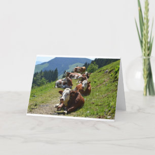 Happy Birthday Card Gruppe Kühe Karte