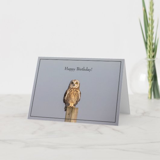 Happy Birthday Card kurze Eule Karte (Vorderseite)