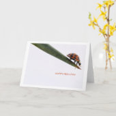 Happy Birthday Card Ladybird Karte (Gelbe Blume)