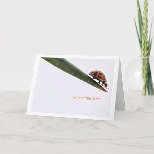 Happy Birthday Card Ladybird Karte (Vorderseite)