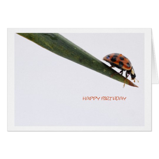 Happy Birthday Card Ladybird Karte