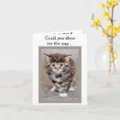 Happy Birthday Card: Lost Kitten Karte (Gelbe Blume)