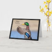 Happy Birthday Card Mallard Duck Karte (Gelbe Blume)