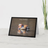 Happy Birthday Card Mandarin Duck