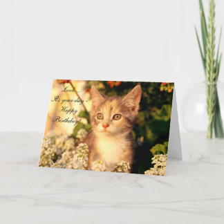 Happy Birthday Card mit Kitten Karte
