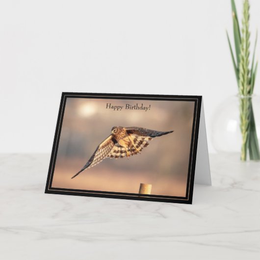 Happy Birthday Card Northern Harrier Hawk Karte (Vorderseite)