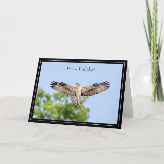 Happy Birthday Card Osprey Karte (Vorderseite)