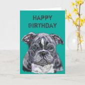 Happy Birthday Card Pit bull - Liebe für Haustiere Karte (Gelbe Blume)