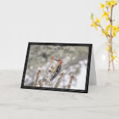 Happy Birthday Card Red-Bellied Woodpecker Karte (Gelbe Blume)