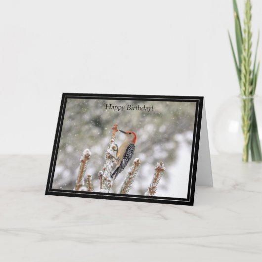 Happy Birthday Card Red-Bellied Woodpecker Karte (Vorderseite)