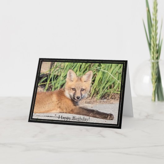 Happy Birthday Card Red Fox Kit Karte (Vorderseite)
