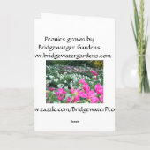 Happy Birthday Card Rosa Peonies / Peony Blume Karte (Rückseite)