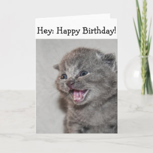Happy Birthday Card: Überraschendes graues Kitten Karte