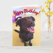 Happy Birthday Card Wird The Happy Boy Karte (Gelbe Blume)