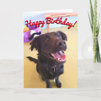 Happy Birthday Card Wird The Happy Boy Karte