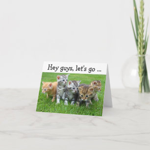 Happy Birthday Card with Kittens: Let's go Karte