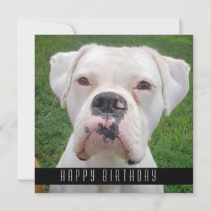 Happy Birthday Cards mit Hunden Ankündigung